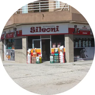 Frente del local de Sileoni en Av. Arturo Alió 498